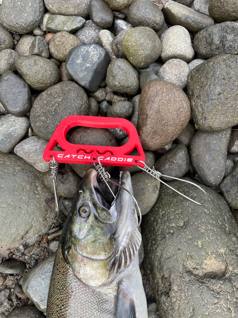 Catch Caddie, Fish Carrier (New Release)